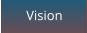 Vision