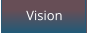 Vision