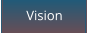 Vision