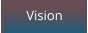 Vision
